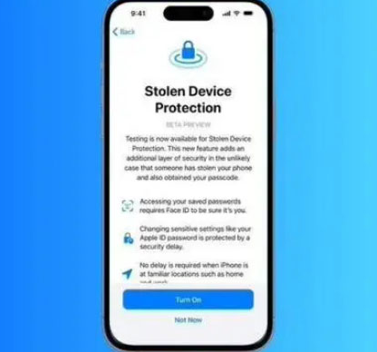 泸县苹果授权维修店分享被盗设备保护功能开启方法
