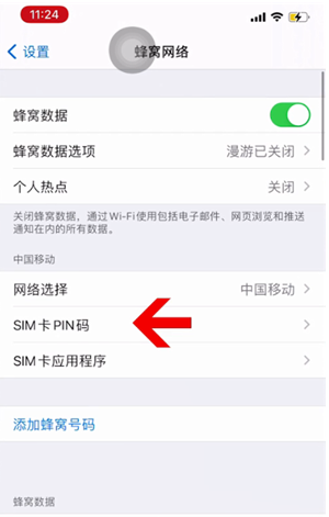 泸县苹果14维修网分享如何给iPhone14的SIM卡设置密码 