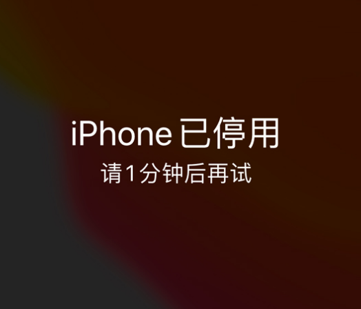 泸县苹果手机维修分享:iPhone 显示“不可用”或“已停用”怎么办？还能保留数据吗？ 