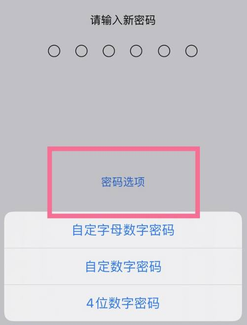 泸县苹果14维修分享iPhone 14plus设置密码的方法 