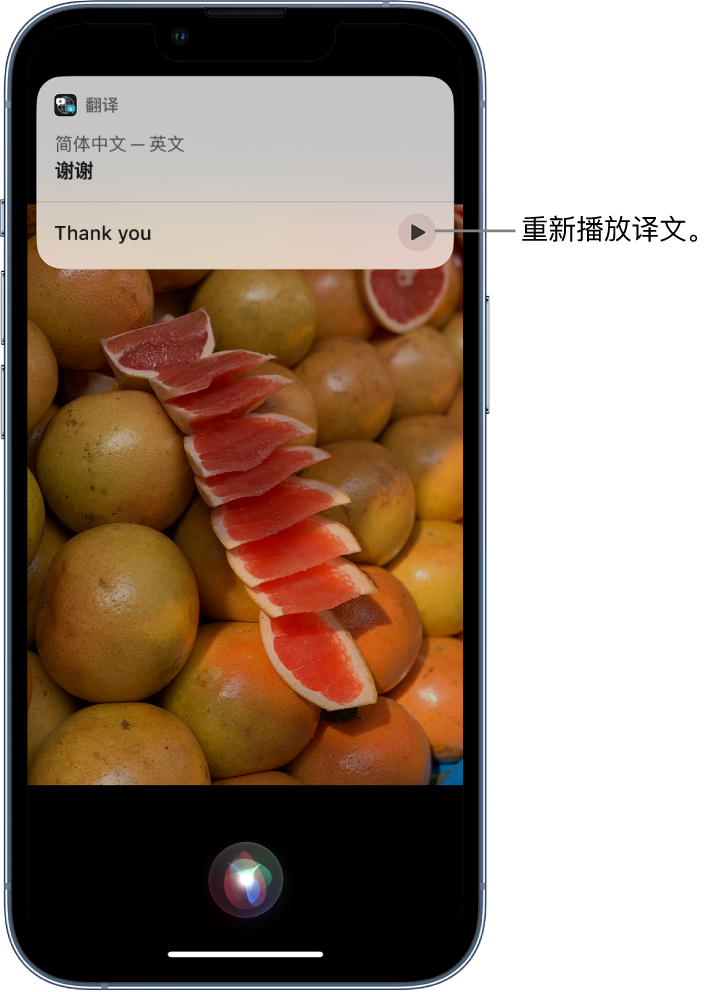 泸县苹果14维修分享 iPhone 14 机型中使用 Siri：了解 Siri 能帮你做什么 