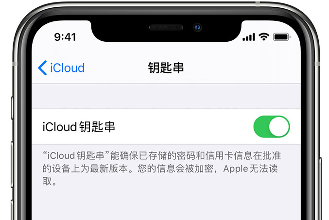 泸县苹果手机维修分享在 iPhone 上开启 iCloud 钥匙串之后会储存哪些信息 