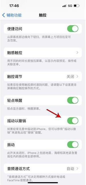 泸县苹果手机维修分享iPhone手机如何设置摇一摇删除文字 